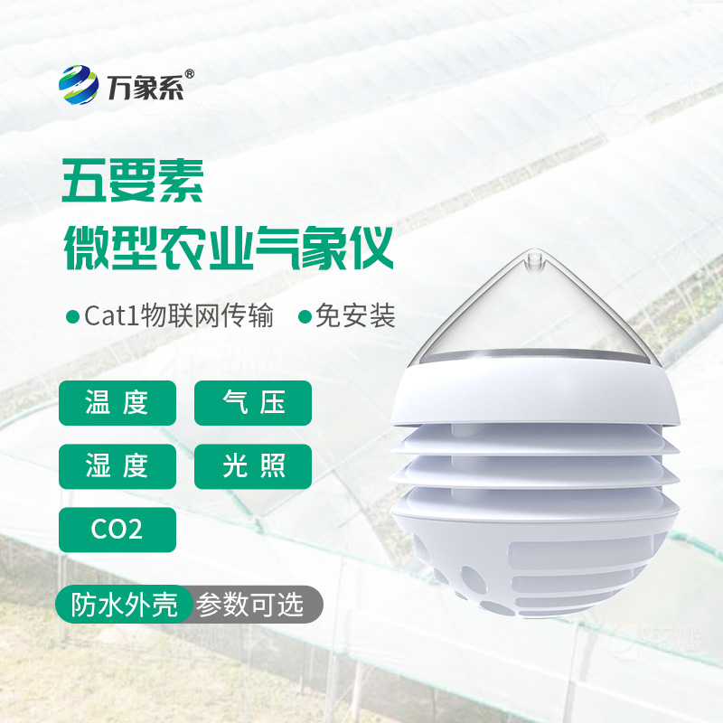 五要素微型農(nóng)業(yè)氣象儀